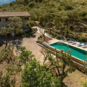 Muscarolas By 360 Villa