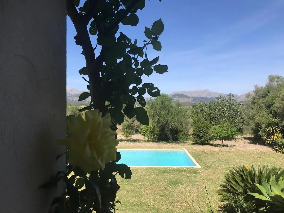 Villa Florida Luxury Villa With Huge Pool Pollenca